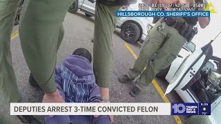 Hillsborough County Sheriff's Office releases video of arrest of 3-time convicted felon