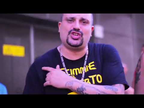 Scimmie del Deserto "No Cinema"