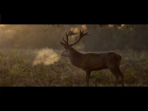 Jaegermeister Coolpack