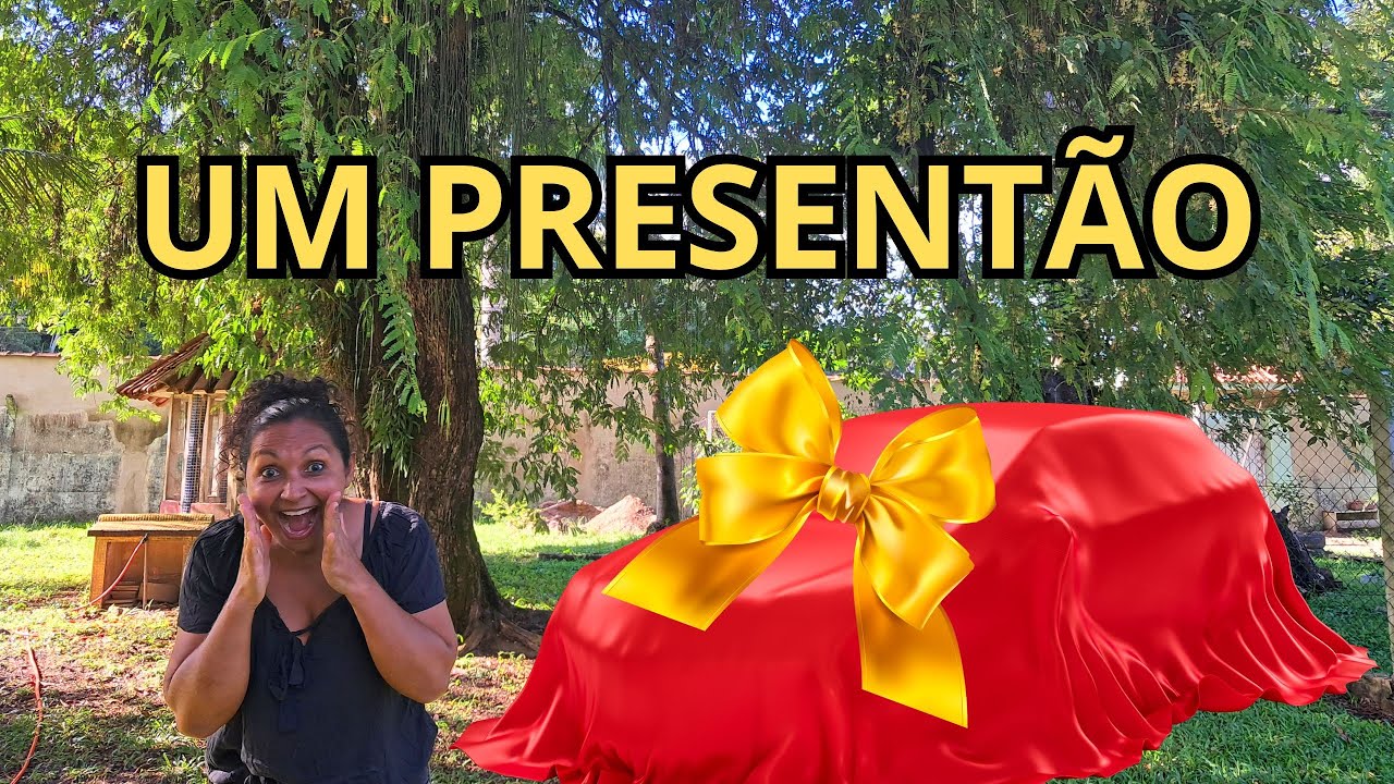 GANHEI UM PRESENTÃO