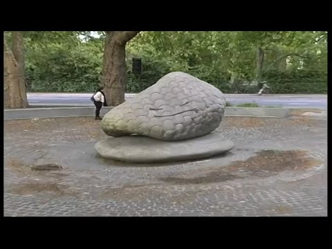 Mac Wetha - Pelican Freestyle