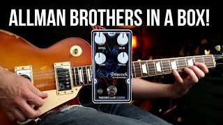 Video thumbnail for Allman Brothers Tone in a Box! | Missing Link Audio Peacock Overdrive and Peach Bucker Pickups Demo by Let's Play All