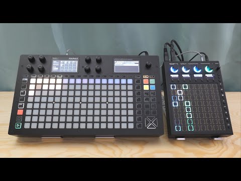 Beetlecrab Tempera Granular Ambient