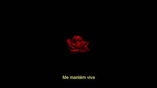 Lana Del Rey - Lust for Life [Demo] (Legendado)