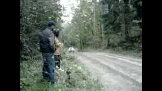 Radek Typa - TESTY / Runowo.