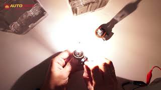 Osram H11 Original Line 12V 55W (64211) - відео 3