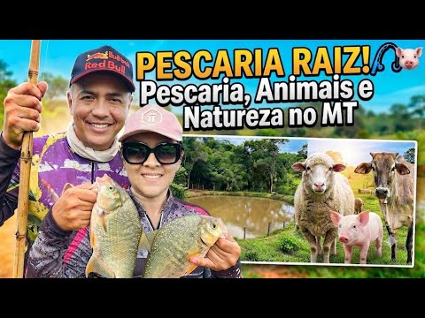 PESCARIA RAIZ! COM VARA DE BAMBU E VISITA À FAZENDA NO MT! 🎣