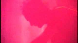 American Head Charge Loyalty