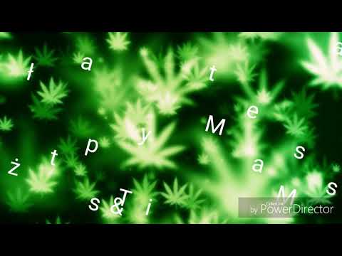 Marszał & Matii - Tytuł też został spalony