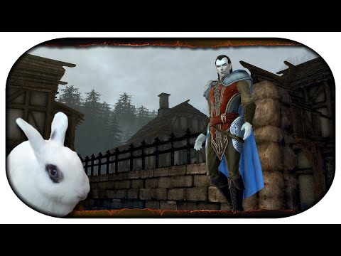 NEVERWINTER: Paladin-LP 🐇 205 - Ein Besuch bei Strahd