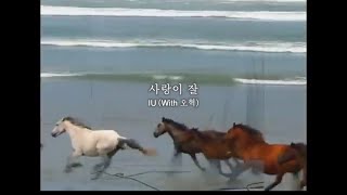 【日本語字幕】IU  사랑이 잘(can’t love you anymore) (with OHHYUK)