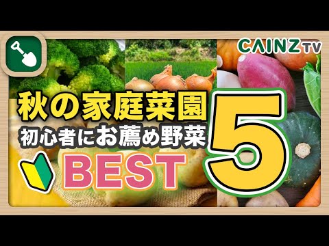  9月に蒔く種は何でしょうか？ 10種類の野菜と花が旬を迎えます！  庭園