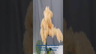 preserved moss wall China Producer,preserved moss panels China Manufacturer.