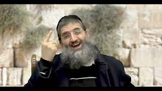 כמה אתה באמת רוצה להתקרב לבורא עולם?? - חסידות בפרשה - הרב אופיר טנג'י