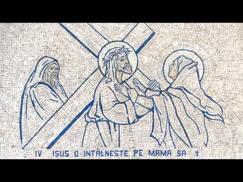 Iași (catedrală): Calea sfintei cruci (25 martie 2020)