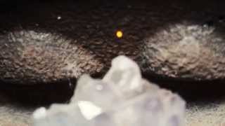 com kuicly RESURRECTION