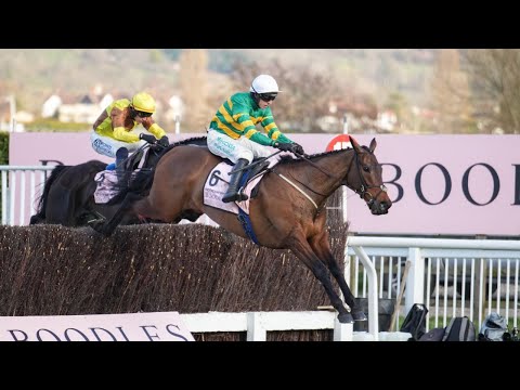 INOTHEWAYURTHINKIN denies GALOPIN DES CHAMPS third Cheltenham Gold Cup with brilliant performance