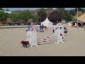 Castrone PFS Pony Francese da Sella In vendita 2021 Baio ,  Eye Catcher de Lourcq