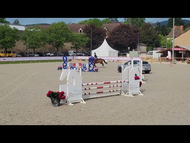 Castrone PFS Pony Francese da Sella In vendita 2021 Baio ,  Eye Catcher de Lourcq