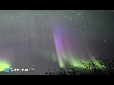 Видео: глава Якутии стал свидетелем северного сияния в Среднеколымском районе