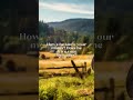 Chase Matthew - Darlin’ (Lyrics) #chasematthew #darlin