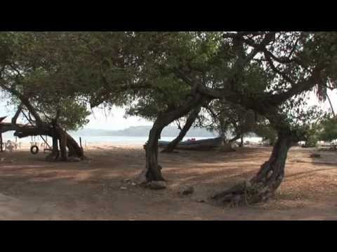 Voces de Mujeres de la Costa Chica de Guerrero y Oaxaca