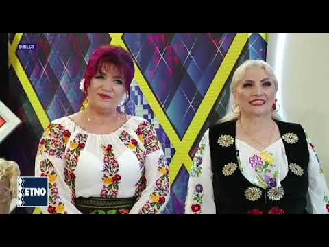 Silvia Potorac -Vioara ( cover Cornel Constantiniu)