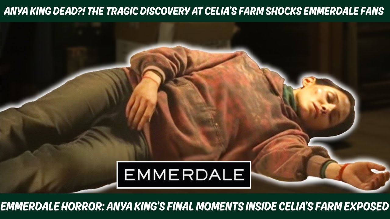 YouTube Thumbnail Downloader FULL HQ IMAGE