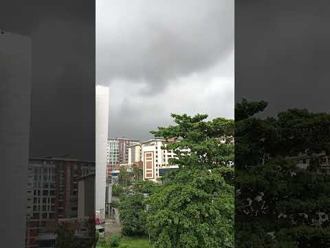 Megla#dine#foryou #shortvideo #love #flowers #forman69#