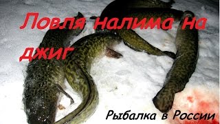 Ловля налима зимой на червя