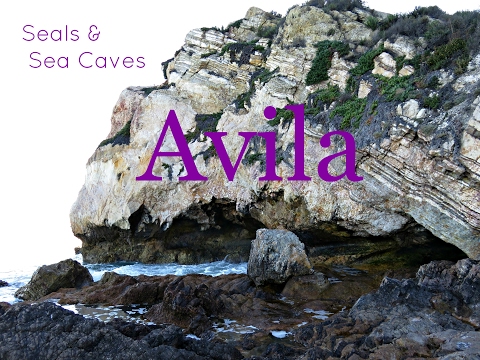 Avila Beach  || Adventure Local