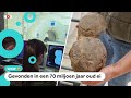 Onderzoekers ontdekken botten van baby-dinosaurus