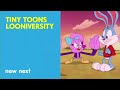 Cartoon Network Prism Next Bumpers With New Episode And Movie Bumpers