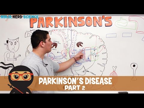 Parkinson's Disease | Causes & Pathophysiology | Part 2