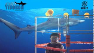 DIA 2 Expo Tiburon66