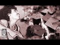 Iwan Fals Sarjana Muda Official Karaoke Video