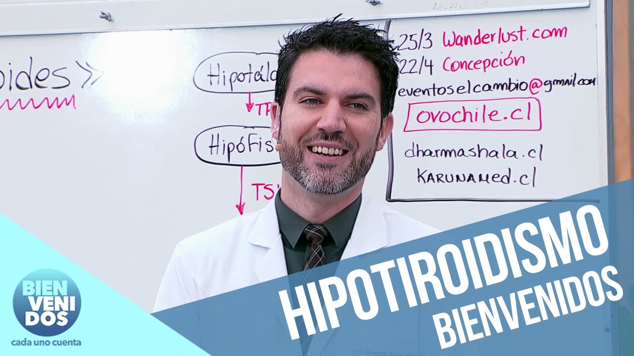 Todo sobre el hipotiroidismo | Bienvenidos