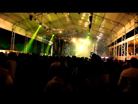 TRIBE 10 ANOS - Life Is A Loop - Abertura Emocionante!