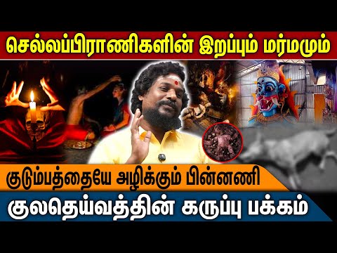 செல்லப்பிராணிகள் இறப்பும் மர்மமும் | NN Chandrakumar | Manthrigam | Seivinai