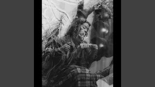 The Reason Is Fine by Savage the Girl