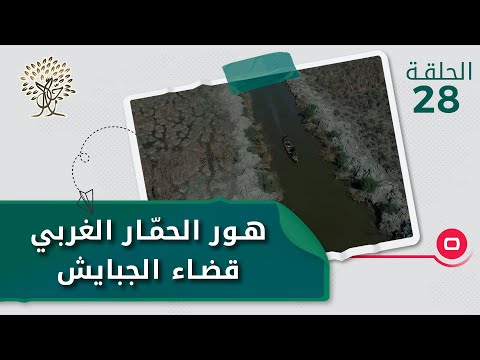 شاهد بالفيديو.. هور الحمّار الغربي، قضاء الجبايش - رحال م٤ - الحلقة ٢٨