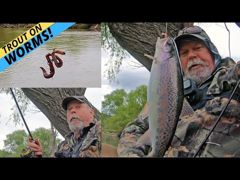 HOW-TO: Catch Trout On Bait Using Worms