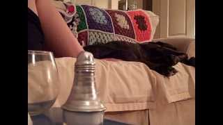 Fleetwood Mac | Never Forget