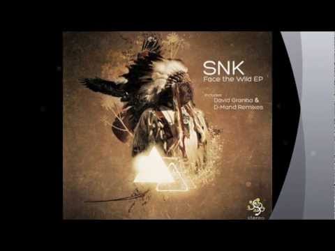 Snk - Face the Wild (D-Mand Remix)