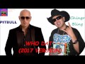Pitbull Feat. Chingo Bling - Who Dat