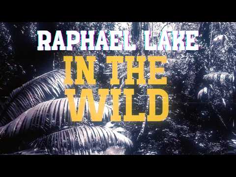 Raphael Lake - In The Wild (Official Lyric Video)