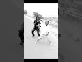 Sele Dance Challenge Mbosso Trending Tanzaniadancers Viral Sele
