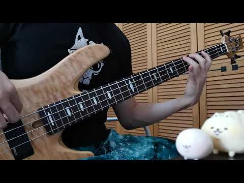 Bass Aerobics Workout 10