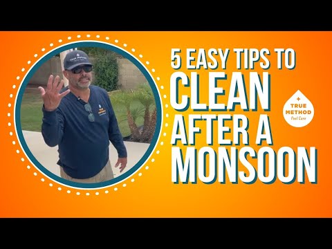 5 Easy Tips to Clean Up after a Monsoon (Plus a Bonus)