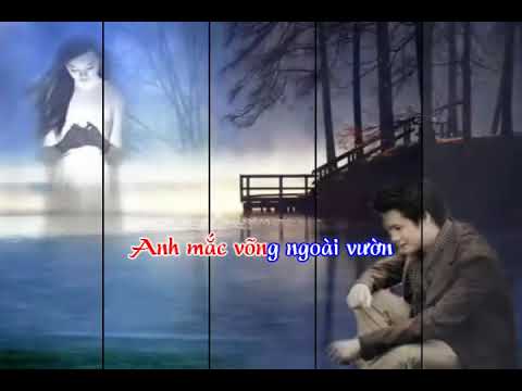 Ảo ảnh - Quang Minh